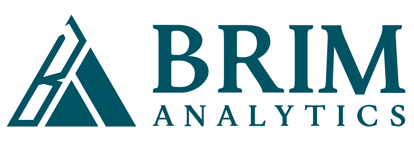 Brim Analytics Logo